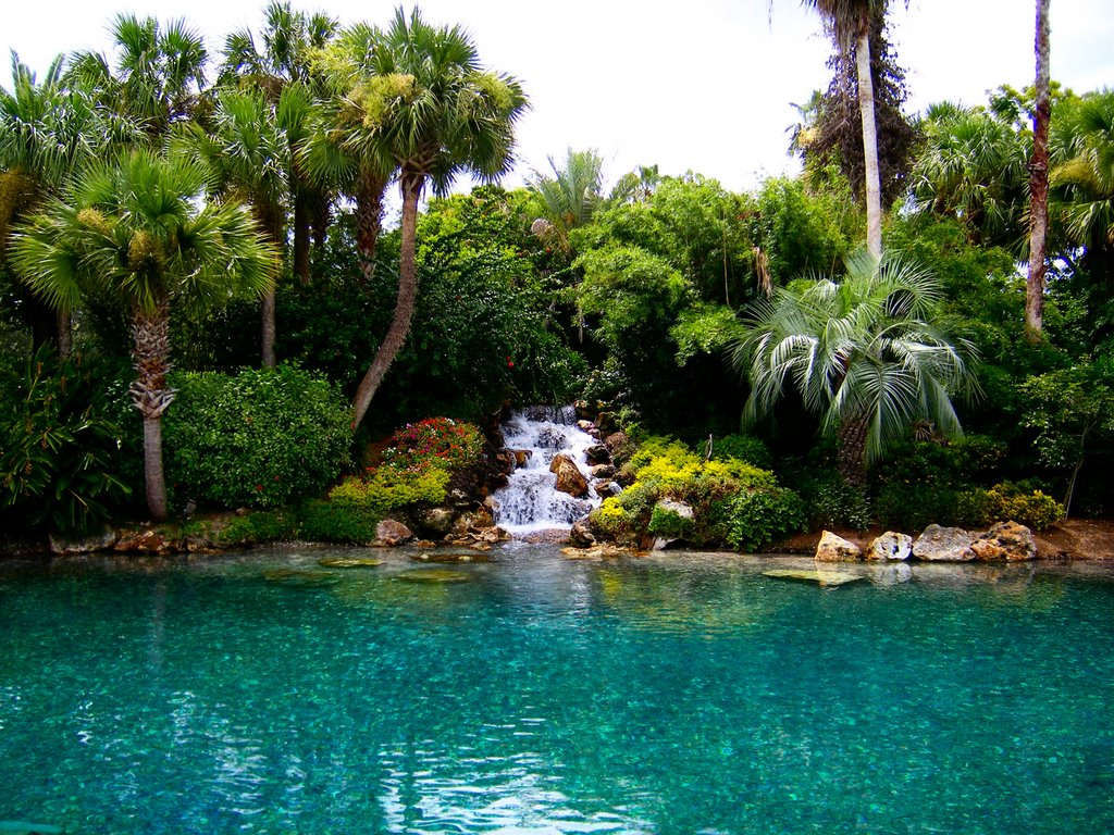 Waterfall at Hospitality Centre, Sea World by julieda