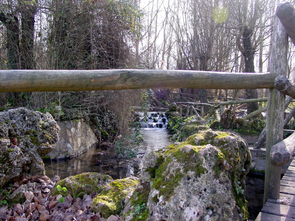 Nacimiento del rio Hueznar by J.Casillas