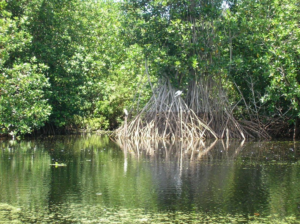 Laguna De La Ventanilla by Nathalie & Tim