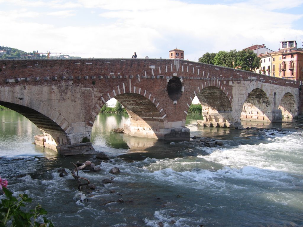 Bridge in Verona by wouterblok