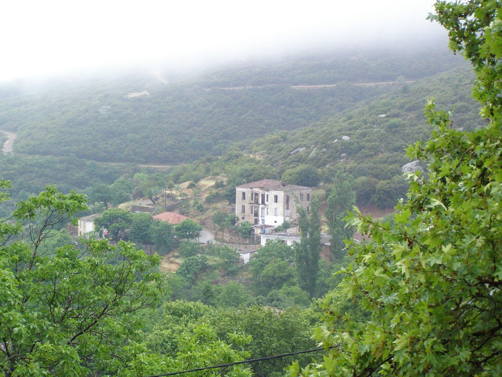 Fog and rain at Metaxochori by Athanasios N. Georgantas