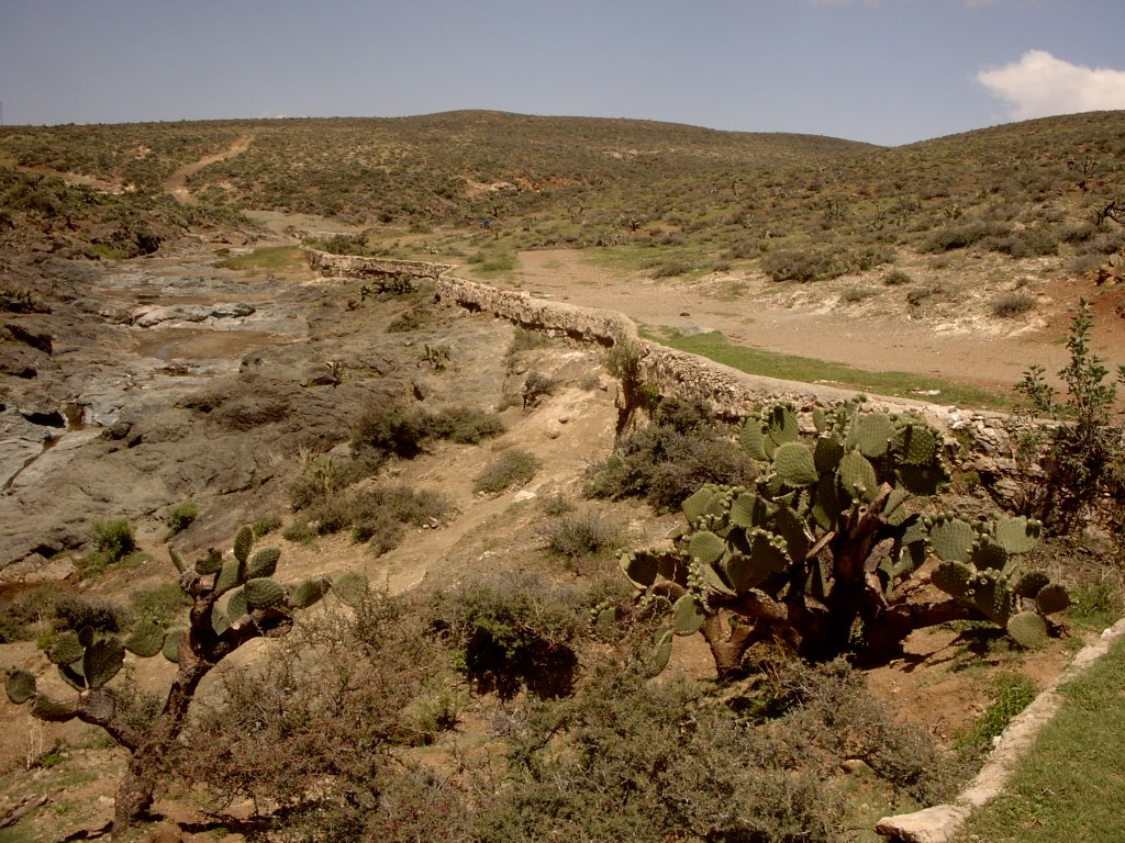 Onate Hacienda Acequia by dr. hal jackson