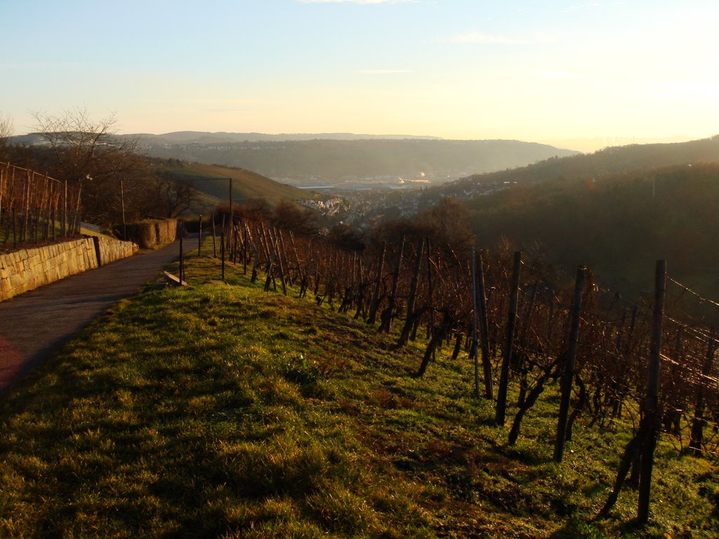 Weinberge im Winter by Willy Kaiser