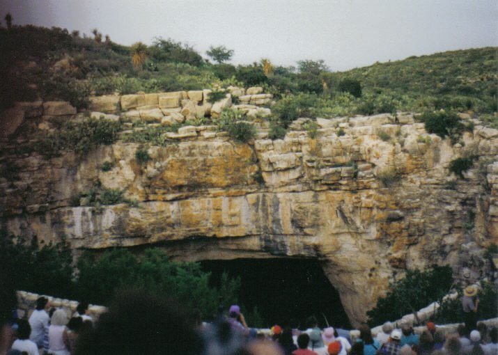 Bat Cave, Carlsbad Caverns by Don Clinton