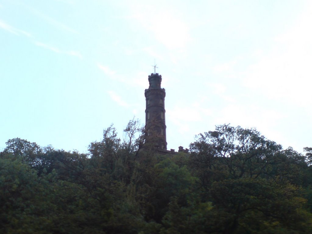 Looking up to Nelsons Monument by Tane Piper