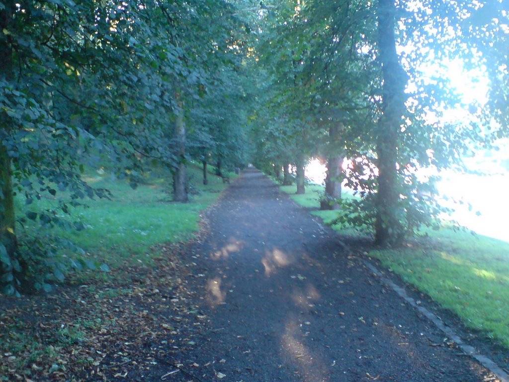 London Road Park Looking West by Tane Piper