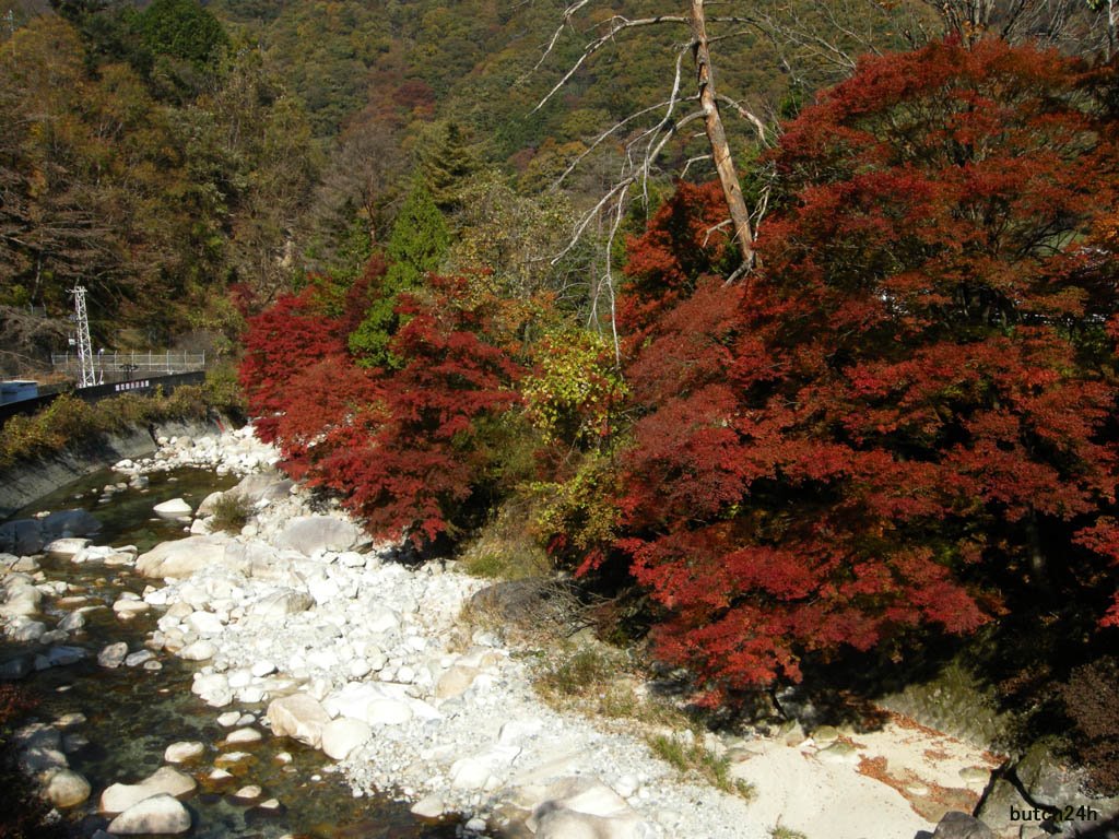 Entrance of Tsumago-juku from Route 19,Nagiso town,Nagano pref,Nov 9 2009　国道１９号から妻籠宿への入口（長野県南木曽町）２００９年１１月９日 by butch24h