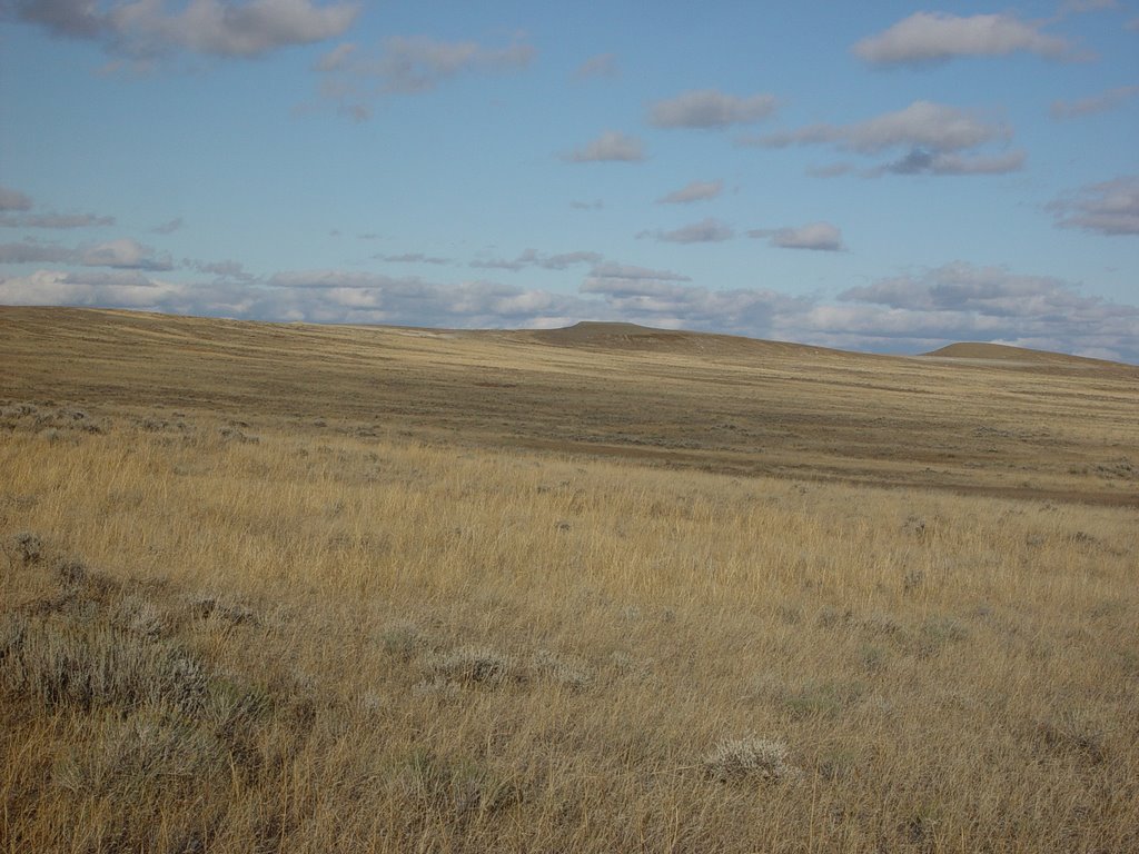 Blanding-Smith Acreage, Rosebud County MT by HeavyD