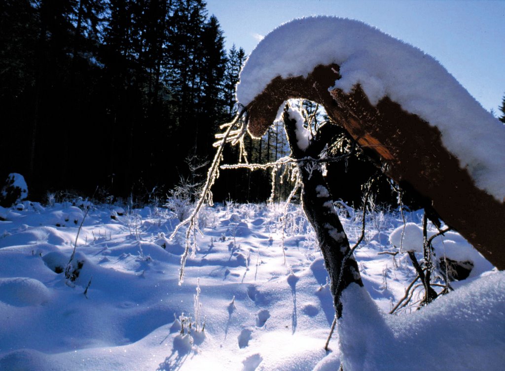 Snow at Chamonix - Rhone-Alpes (France) by Antonio Passaseo