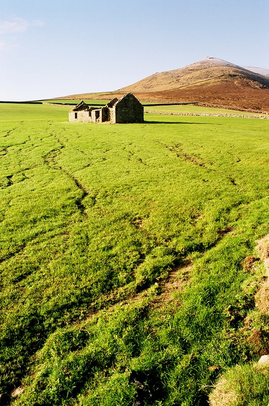 Mourne Mountains by Marek Koszorek www.wild-art.eu