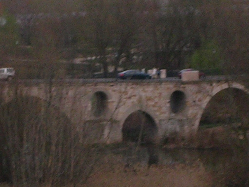 Arquito del Puente de Piedra, Zamora, País Llionés by Llara