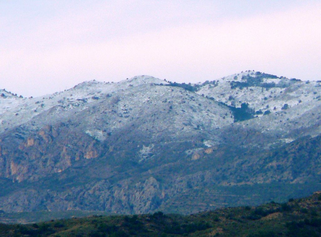 Nieve en Crevillente by Elreydeltractor