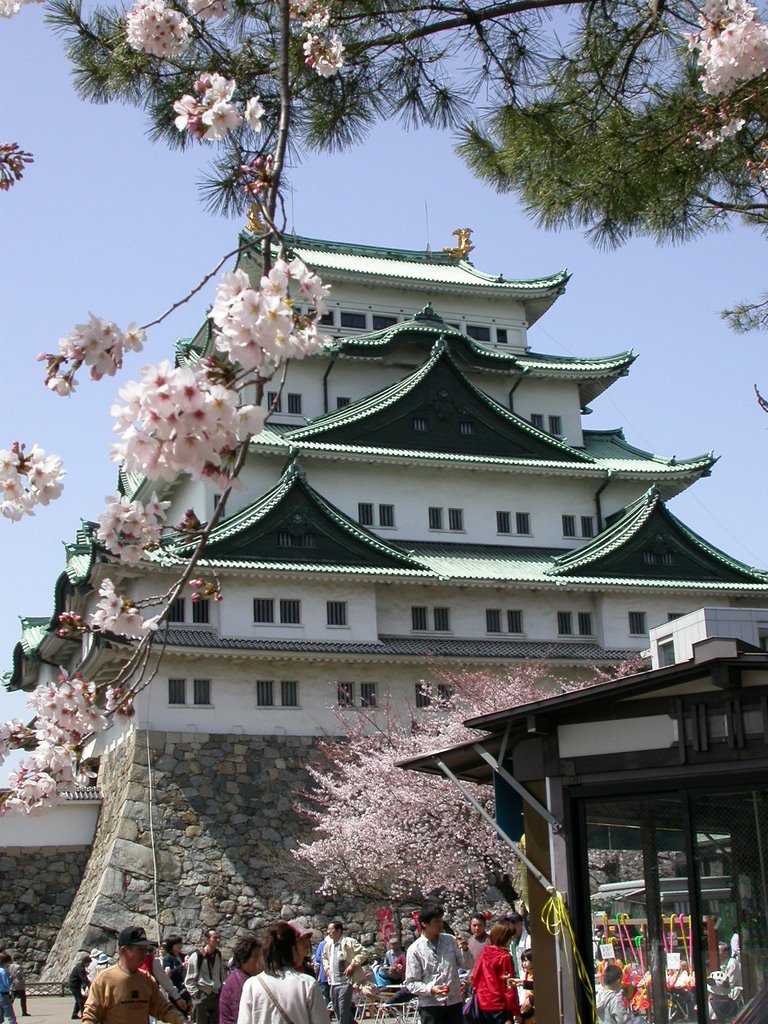 Nagoya Castle (3) by rxduu