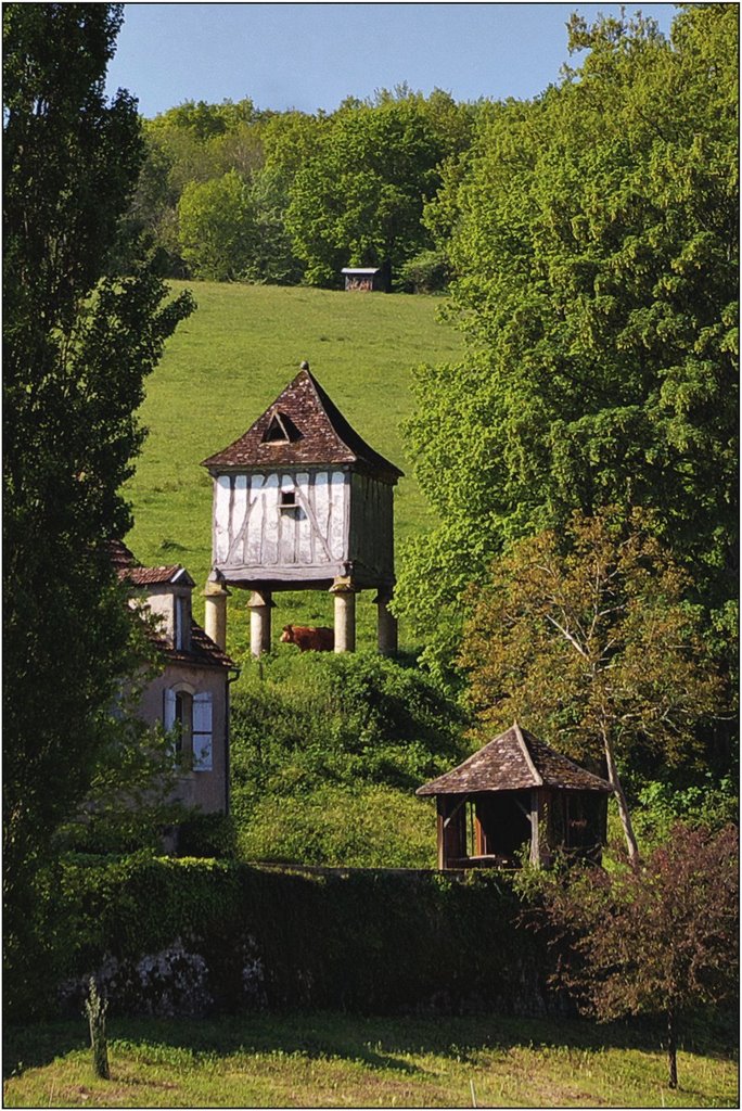 PONTOURS [24] - Pigeonnier à colombage sur piliers à Pontours-Haut. (mai 2009) by Michel Chanaud