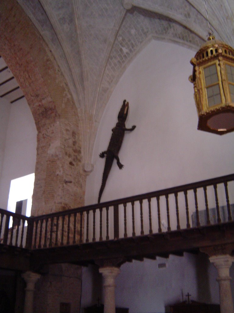 Lagarto de la Iglesia by Fetiche