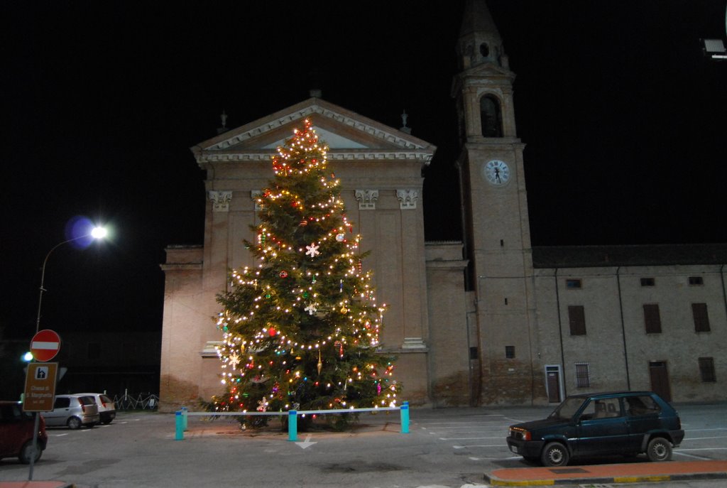 COLOGNA FE NATALE 2009 ALBERO ALLESTITO DAI RAGAZZI DELL' ASSOCIAZIONE IMMAGINE DELLO SPETTACOLO by cekj