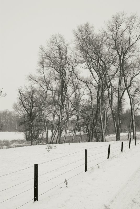 Oostrozebeke by jantieghem