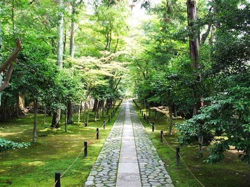 鹿王院の参道　The small road of Rokuouin in Kyoto. by arashiyama