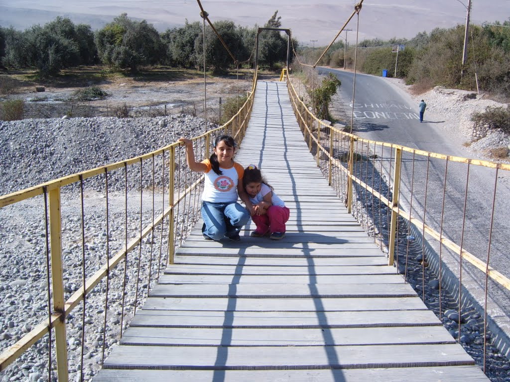 Puente Las Maitas by manuel gajardo