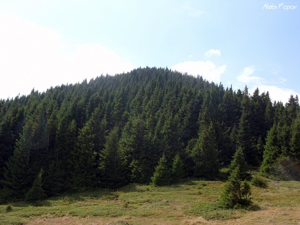 Bulgaria - Balkan Mountains - Dobrila peak 1889m - Стара Планина - Връх Добрила 1889м by Aleks Popov