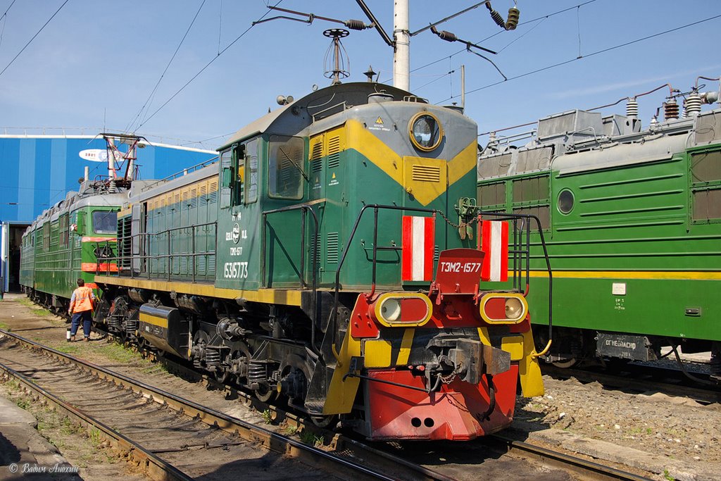 Diesel shunter TEM2-1577 near the depot of train station Sal'sk by Vadim Anokhin