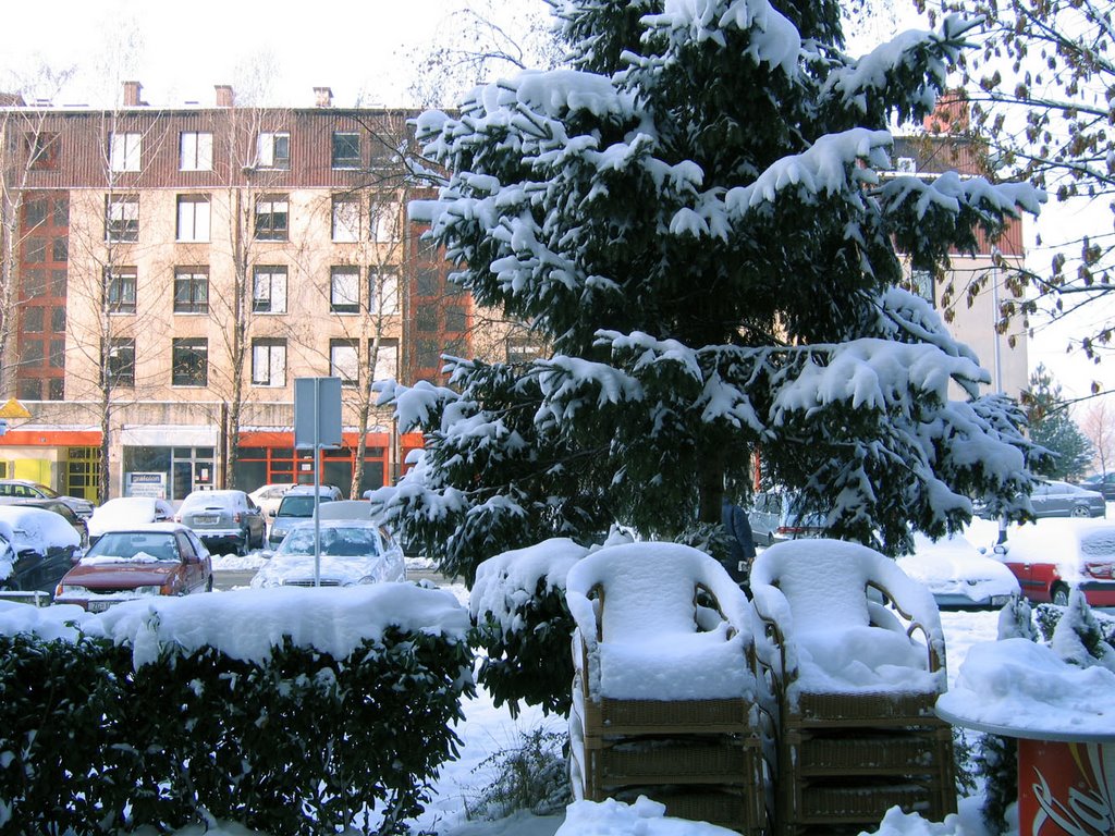 Snowy Zagreb 9 (Surprised chairs) by Miroslav Komar