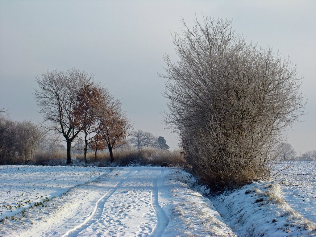 Sümmern - ein Wintermärchen by Windbergbewohner