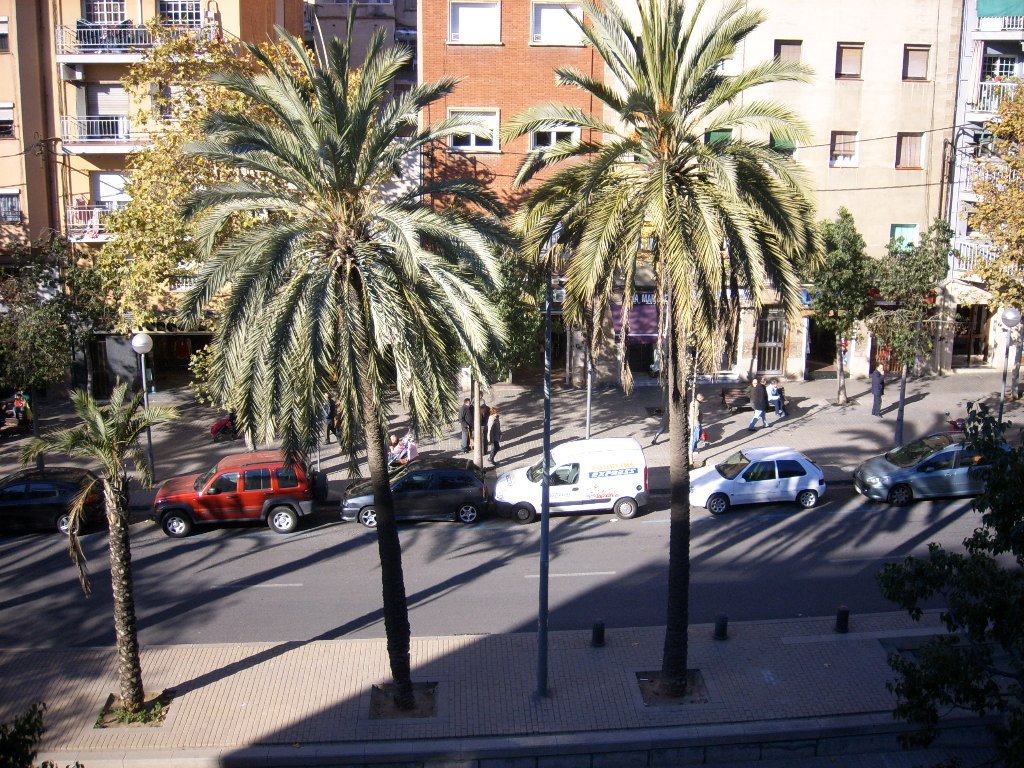 VISTAS DESDE MI BALCON by manelcacereño