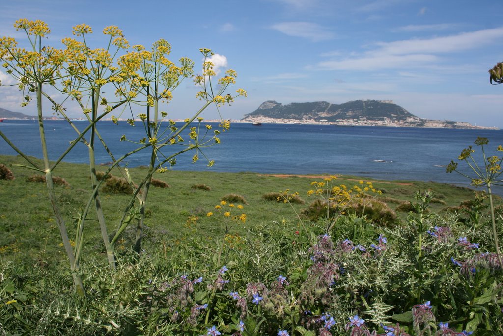 Punta san garcia - Algeciras by AlgecirasFotoContrastes