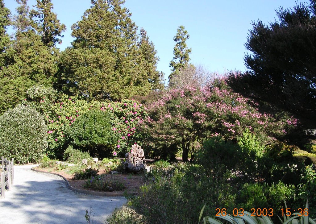 Botanical Gardens, Fort Bragg by jesse haye