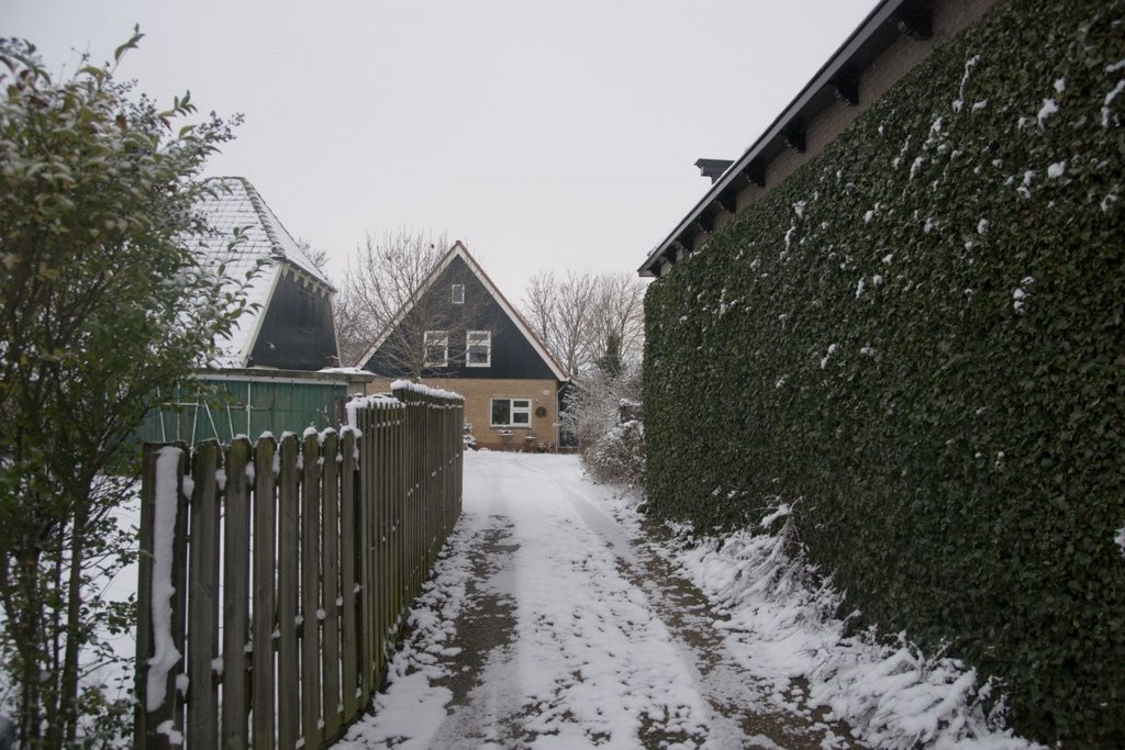 Texel - De Waal - Hogereind - View North in Winter by txllxt