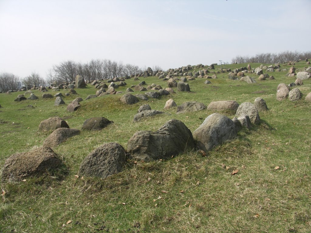 Viking graveyard by smitssan