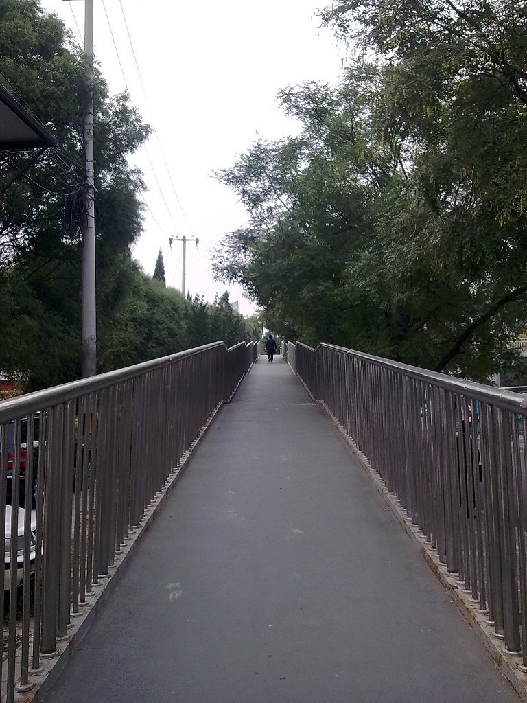 Pedestrian overpass near Asian Games village (Oct.2009) by eggmilk