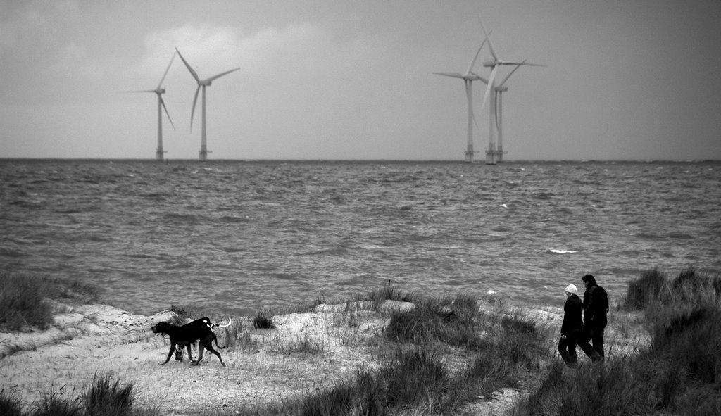 Scroby Sands Windfarm, by rkeightley