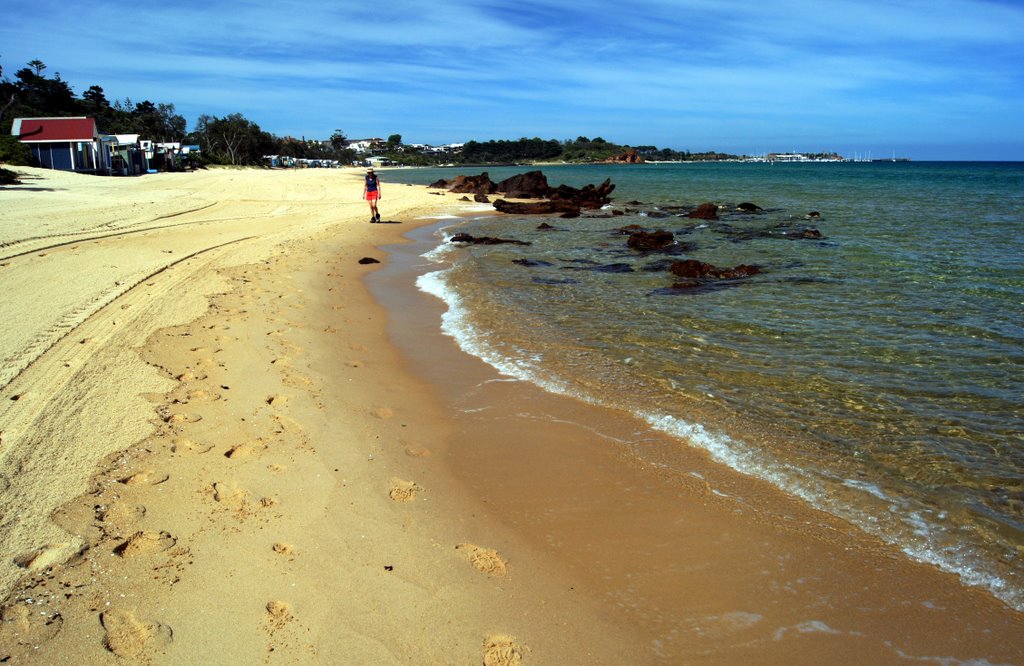 Mills Beach, with Mornington Harbour in the background (2009) by Muzza from McCrae