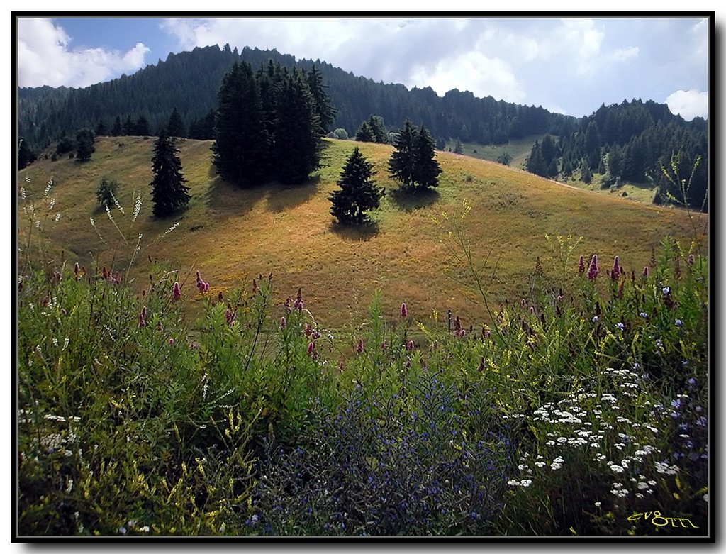 Rozhen meadows / Роженски Поляни by evg777