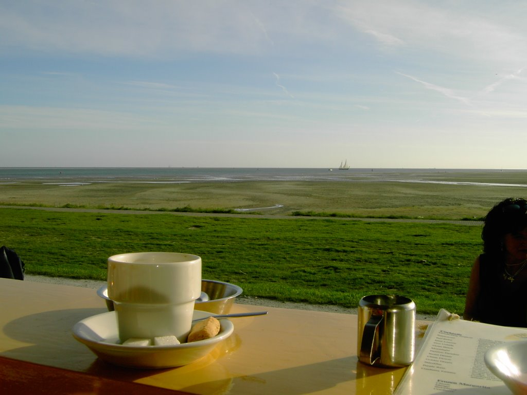 Terschelling Walvis by weilern