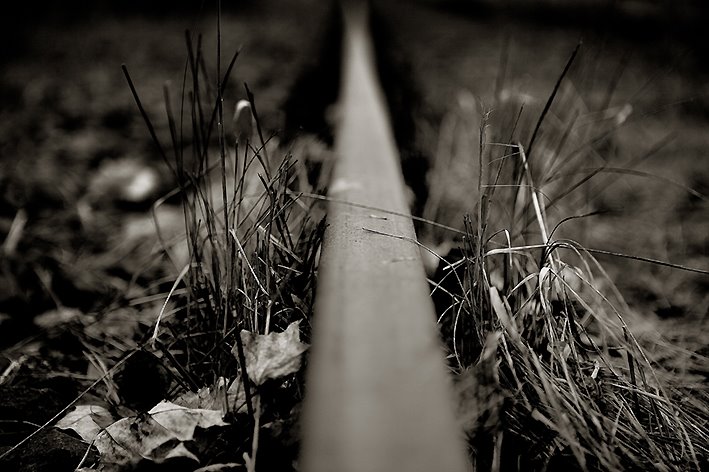 Abandoned rail, Berlin, Germany by 2c