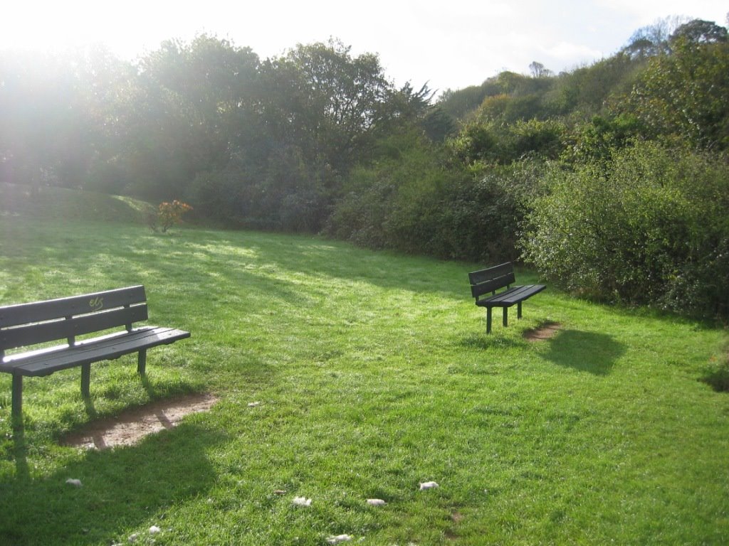 Benches in Radford Park by PlymGoPhotos