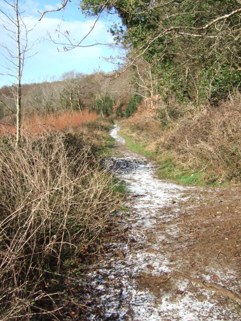 Snowy Path, woolwell by PlymGoPhotos