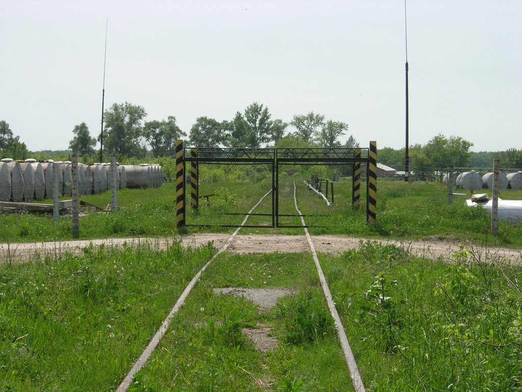 Podlesnyy, Kurskaya oblast', Russia, 305545 by gssfk