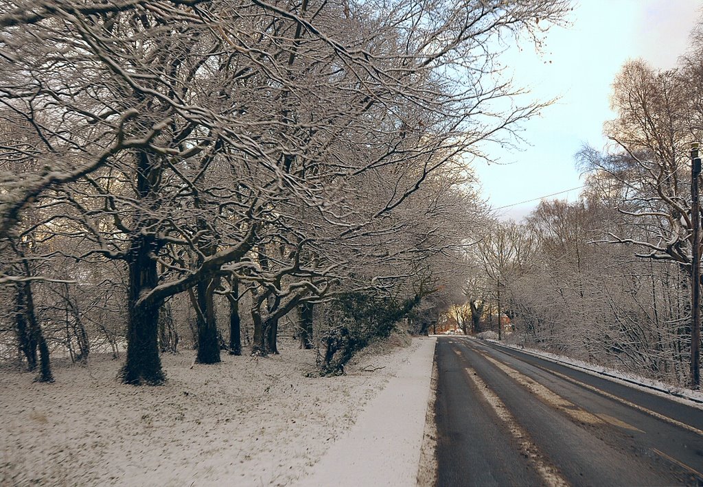 Dawson Lane by David Humphreys