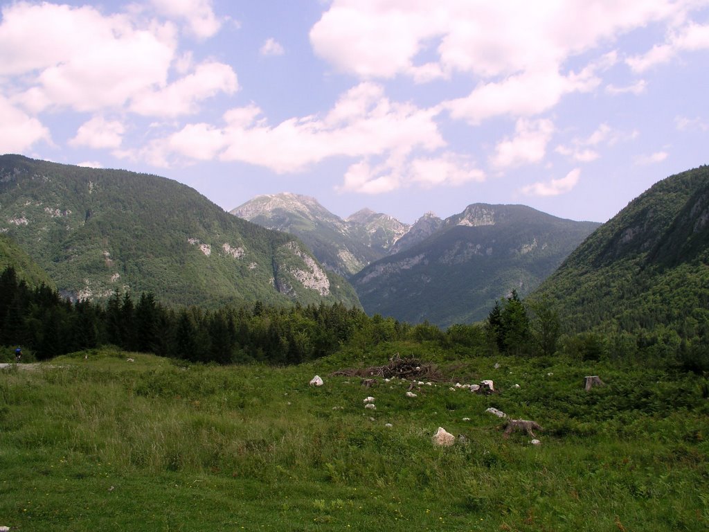 Valley Voje by Damir Jelic