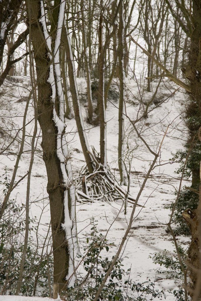 Texel - Hoge Berg - Doolhof - View NW in Winter by txllxt