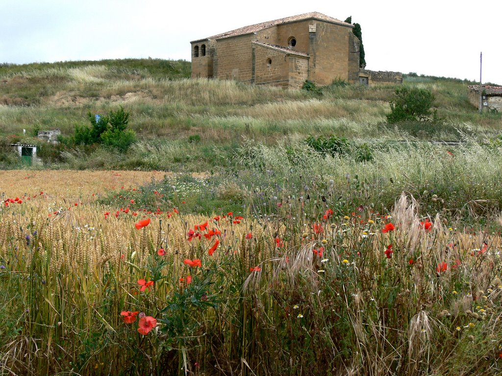 CUZCURRITILLA-(Aldea del Ayuntamiento de Rodezno). 2007. Habitantes: 5 (INE-2008). 02. Iglesia de San Martín (sXVI). by Carlos Sieiro del Nido