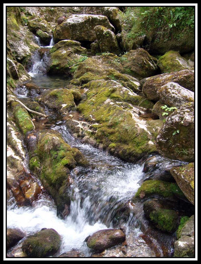 L'eau file entre les rochers couverts de mousse by lilian-alizert