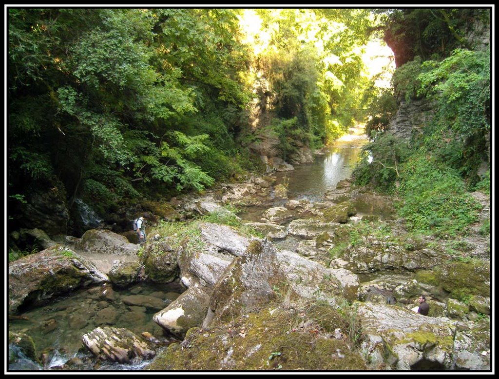 Vue plongeante vers la sortie des gorges du Furon by lilian-alizert