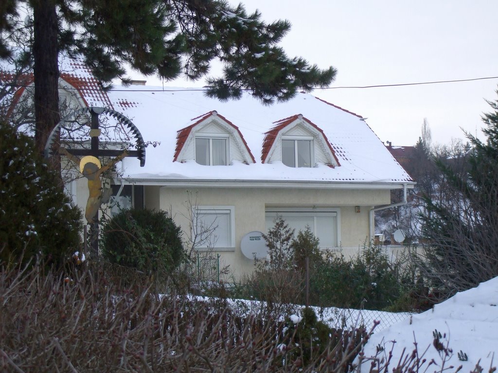 200912221236 Lakóház az Ágnes úton az Ágnes köz közelében (Dwelling-house in the 12th district) by Kornél2009