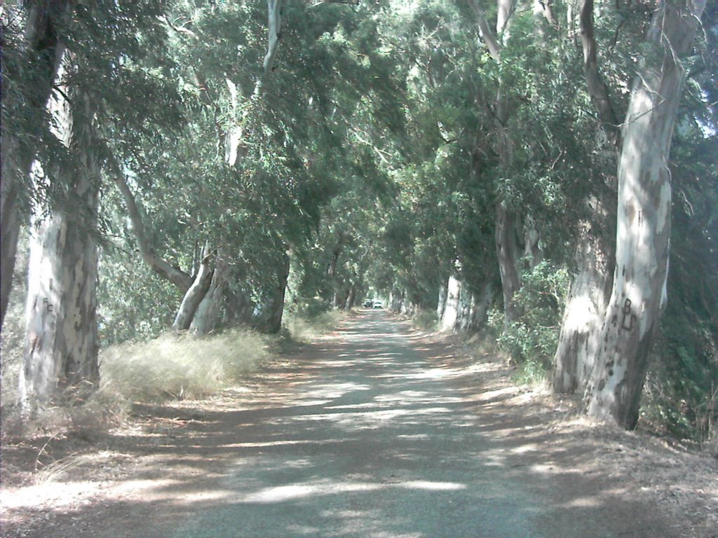 Eski marmaris yolu by Özkan Kurtoğlu