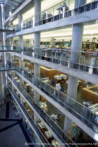 Interior of the library by Francesco Giunta